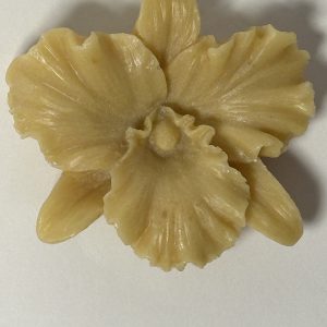 The Orchid Flower